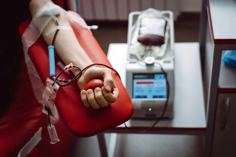 Blood Donation Facts What You Need to Know